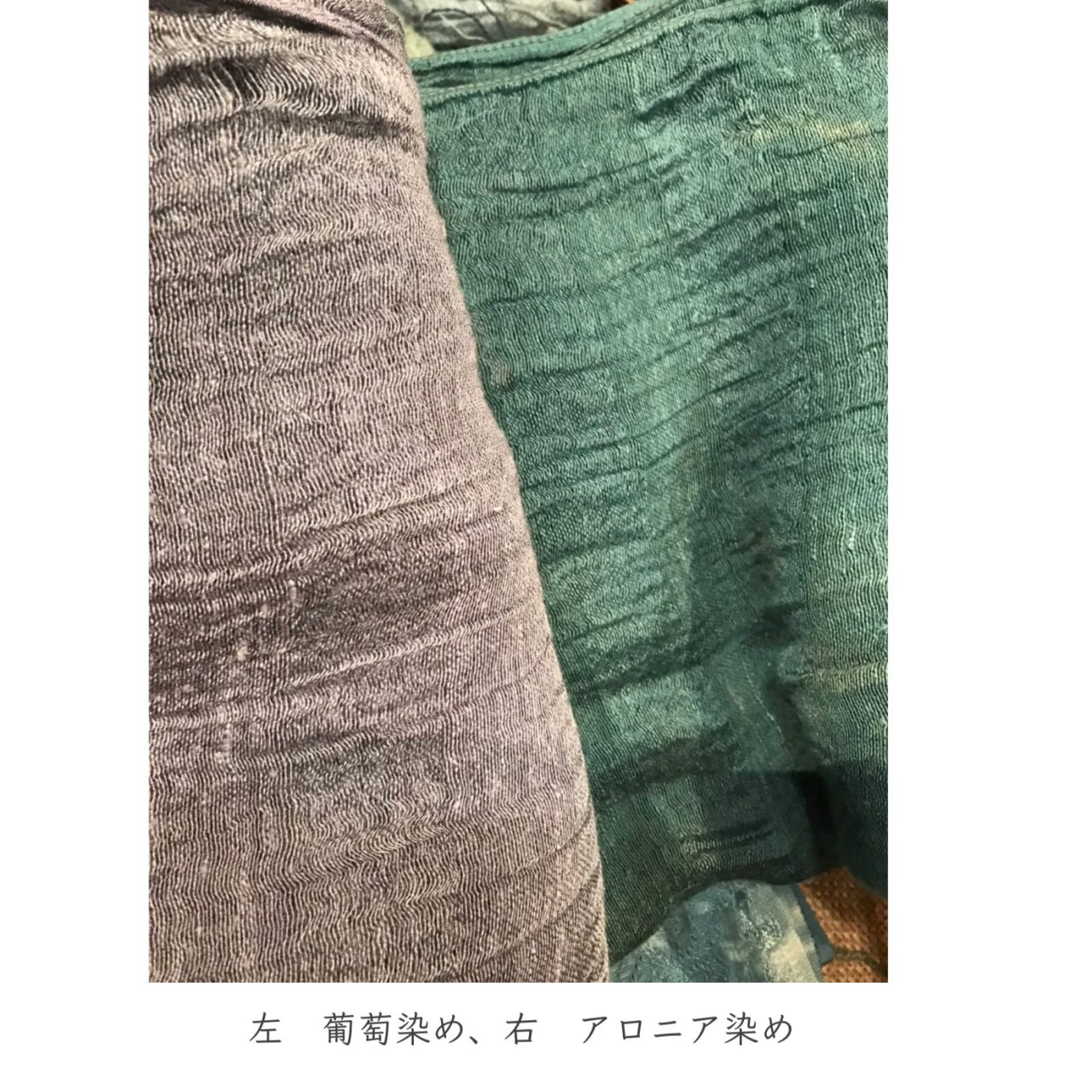 enrica 23ss grape & aronia dye